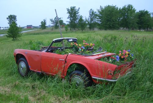 Flower Car